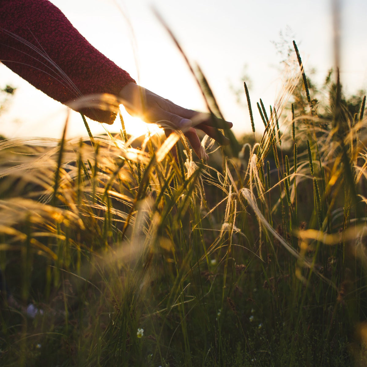 Why being in nature makes the best therapy