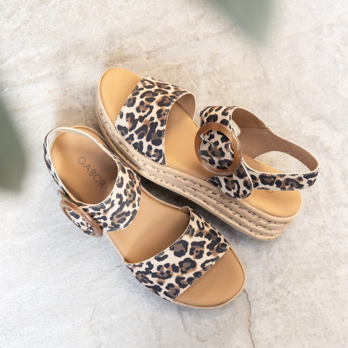 Spotlight on: Trending Patterns
