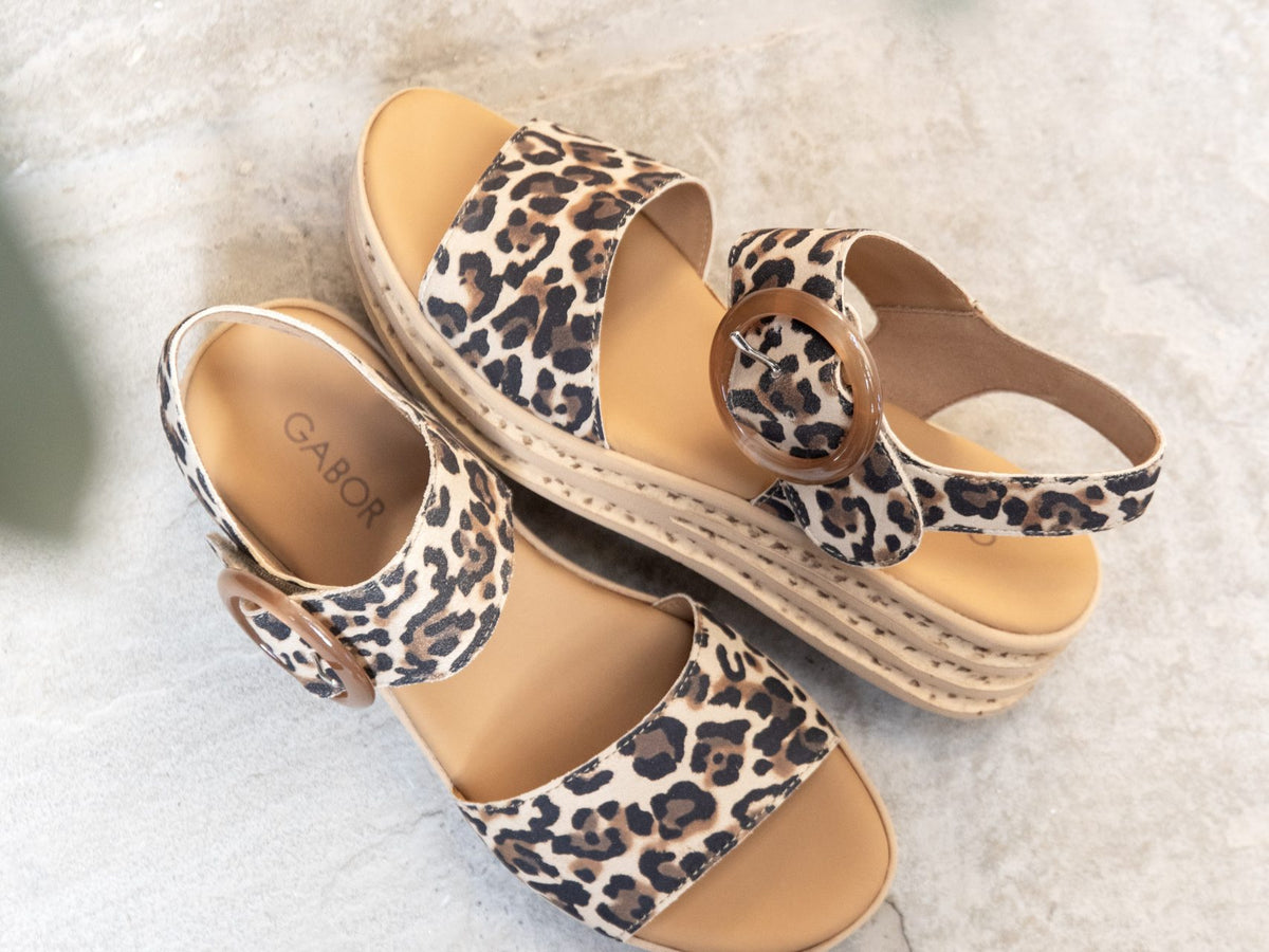 Spotlight on: Trending Patterns