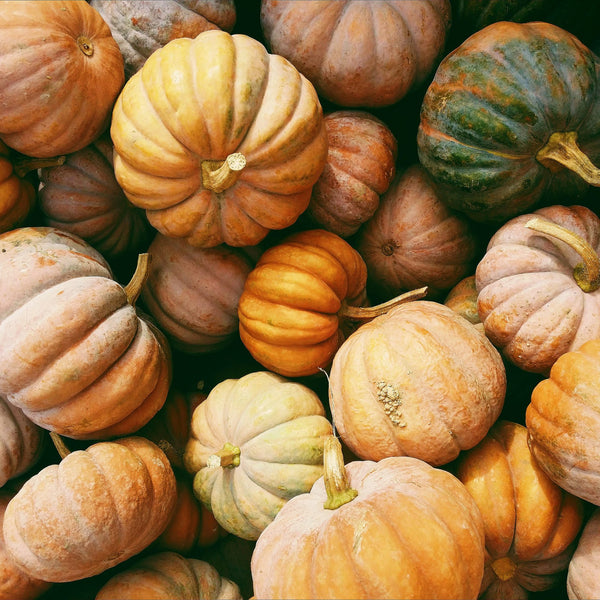 A Sophisticated Halloween: Six things to do this October