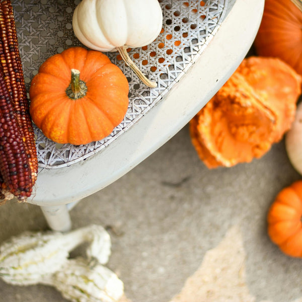 Pumpkin recipes you need to try this October