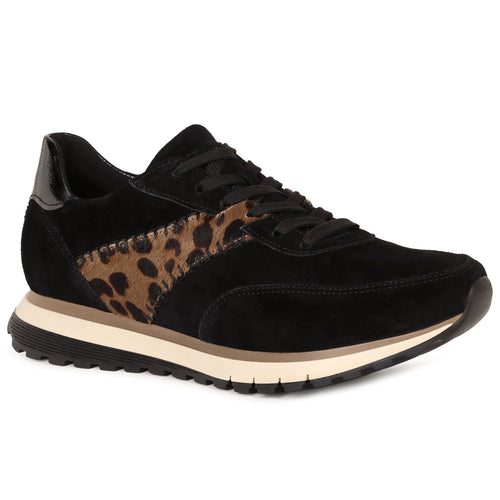 Harp Ladies Trainers