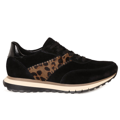 Harp Ladies Trainers