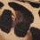 Leopard Print Suede